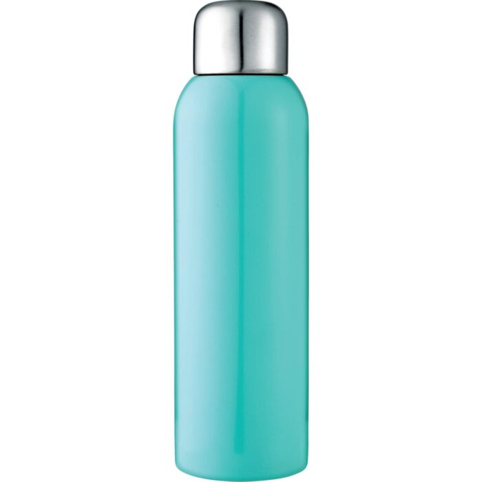 Guzzle 28Oz Stainless Sports Bottle
