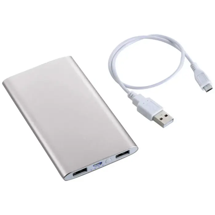 Sleek Aluminum Power Bank